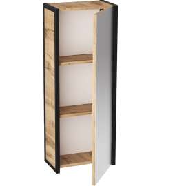 Пенал зеркальный GRUNGE LOFT 35П 1д