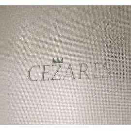 Душевая дверь Cezares ANIMA-BF-1-120-P-Cr