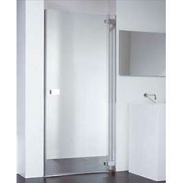 Душевая дверь Provex E-lite 0005-EN-05-GL R 100 см